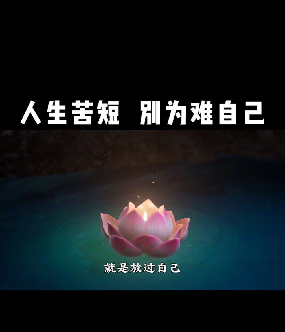 这个世界上,最好的放生就是放过自己