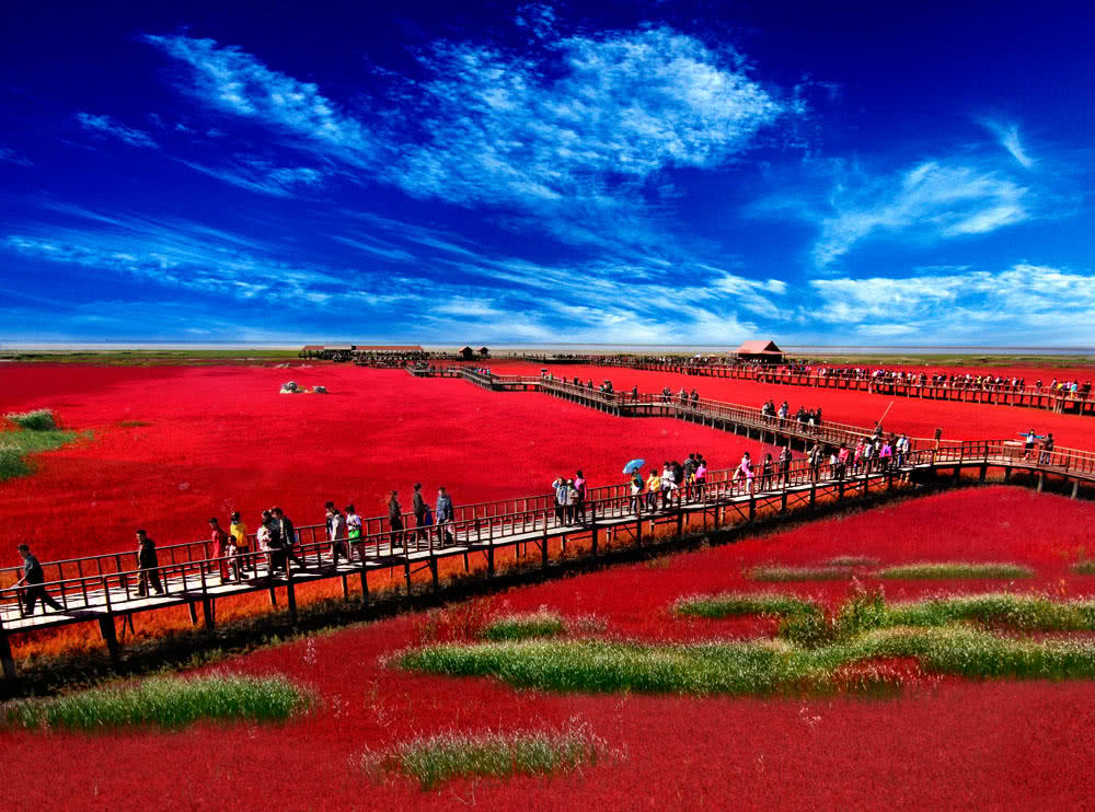 世界独一无二的红色海滩
