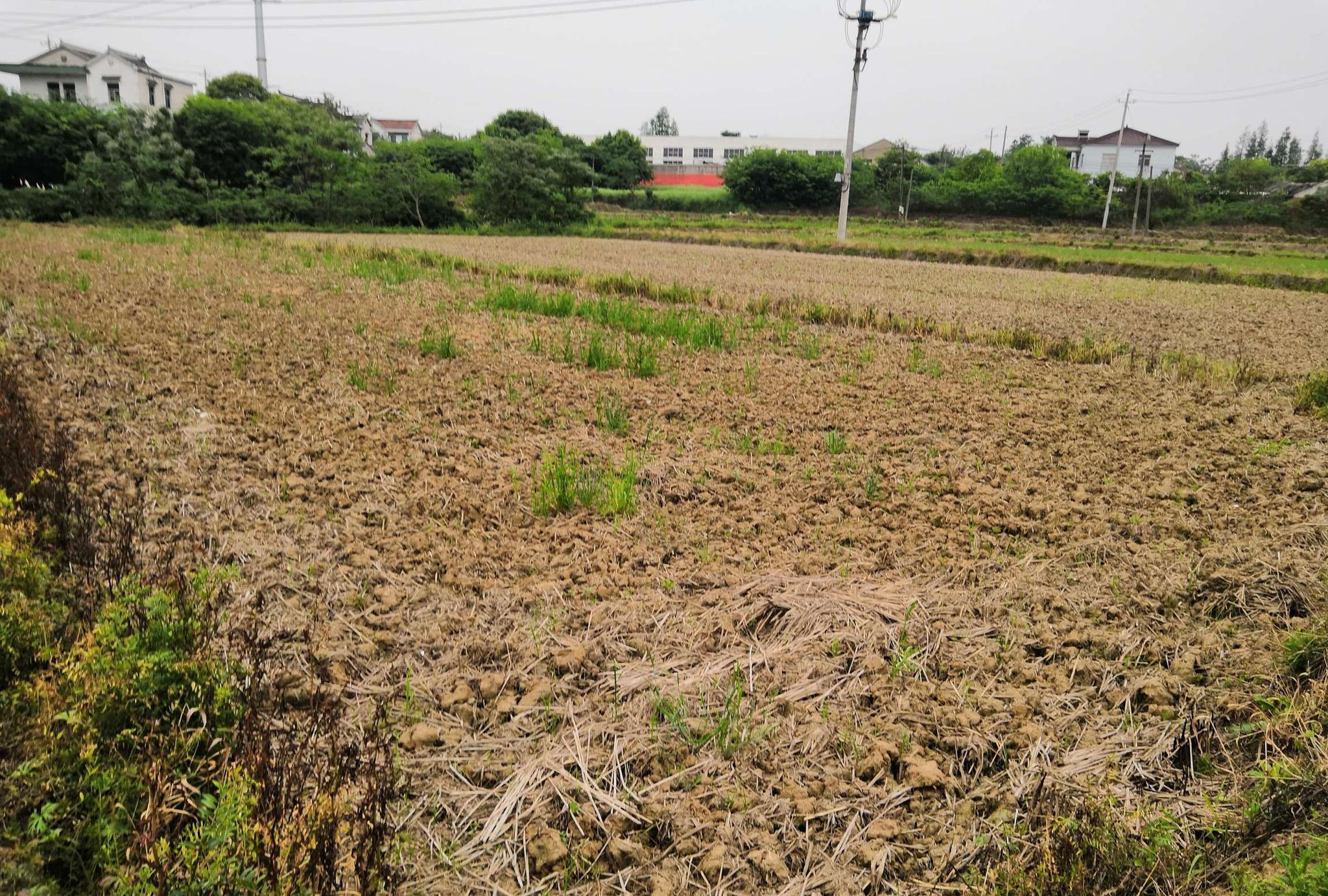 农村荒地整治荒地要收回一类土地归集体两大问题农民要注意