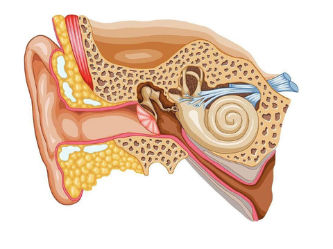耳石症是怎么回事?该如何应对?