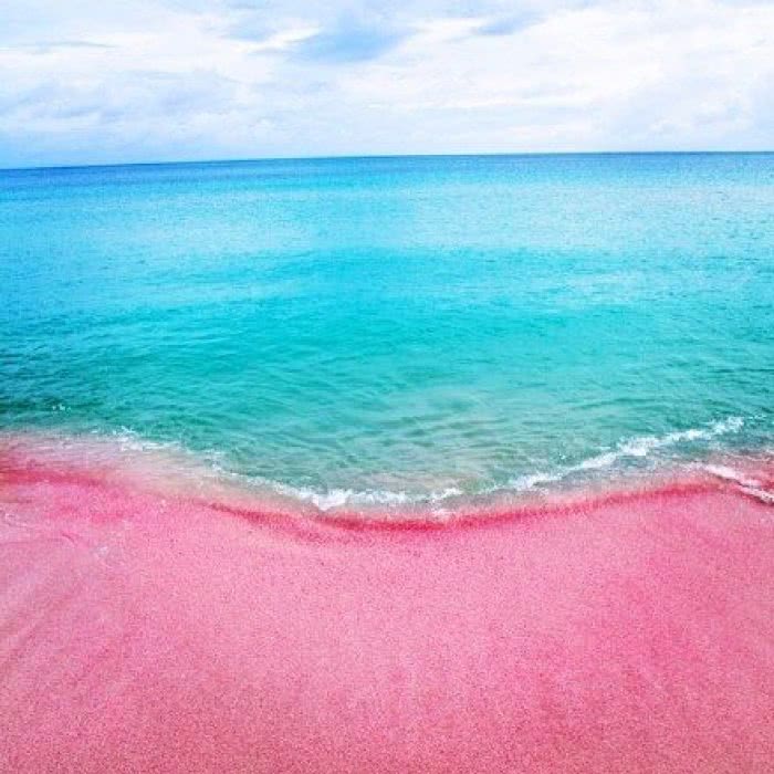 日月湖粉色沙滩图片