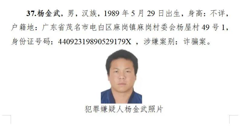 广东警方发布通缉令,最小99年生|诈骗犯罪|公安厅|广东省_新浪新闻
