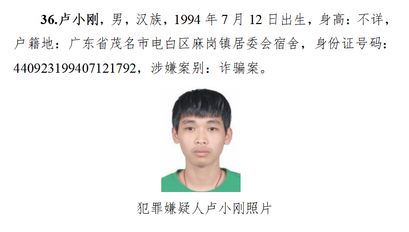 广东警方发布通缉令,最小99年生|诈骗犯罪|公安厅|广东省_新浪新闻
