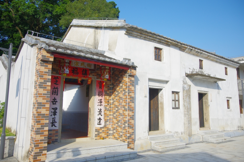 深圳坝光村掠影:这里是山清水秀,景丰林密的城市净土