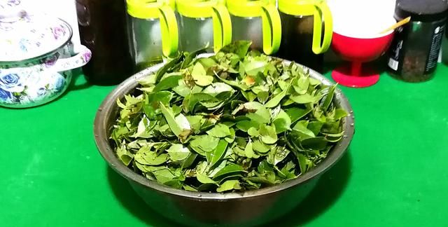 大听雨教你做清香四溢的乌叶水乌饭乌饭粑粑