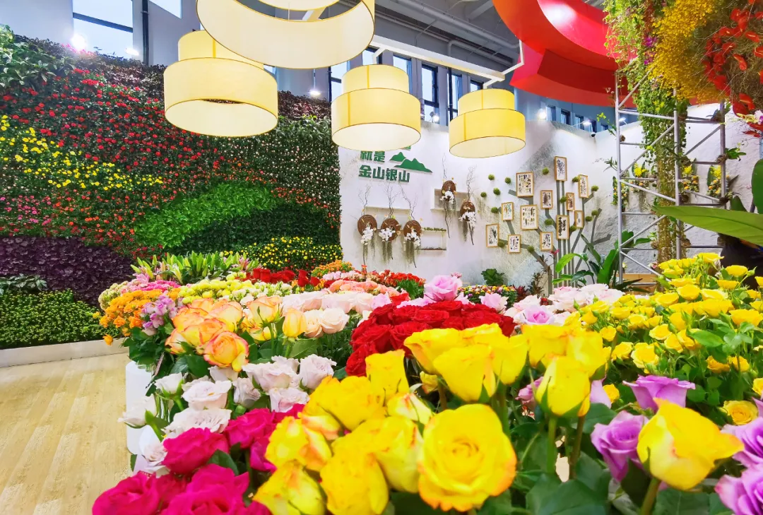 一起来康康第十届中国花卉博览会的云南展区有多美