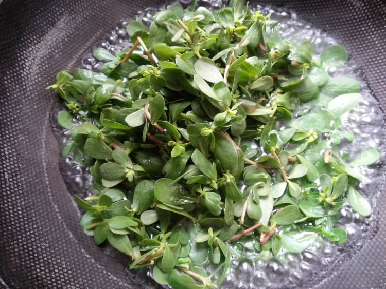 让舌尖痛快的美味马齿苋炒鸡蛋这样做超好吃营养丰富还能解馋