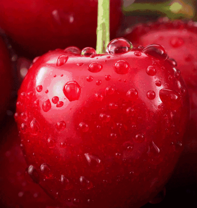 640_678gif 动态图 动图