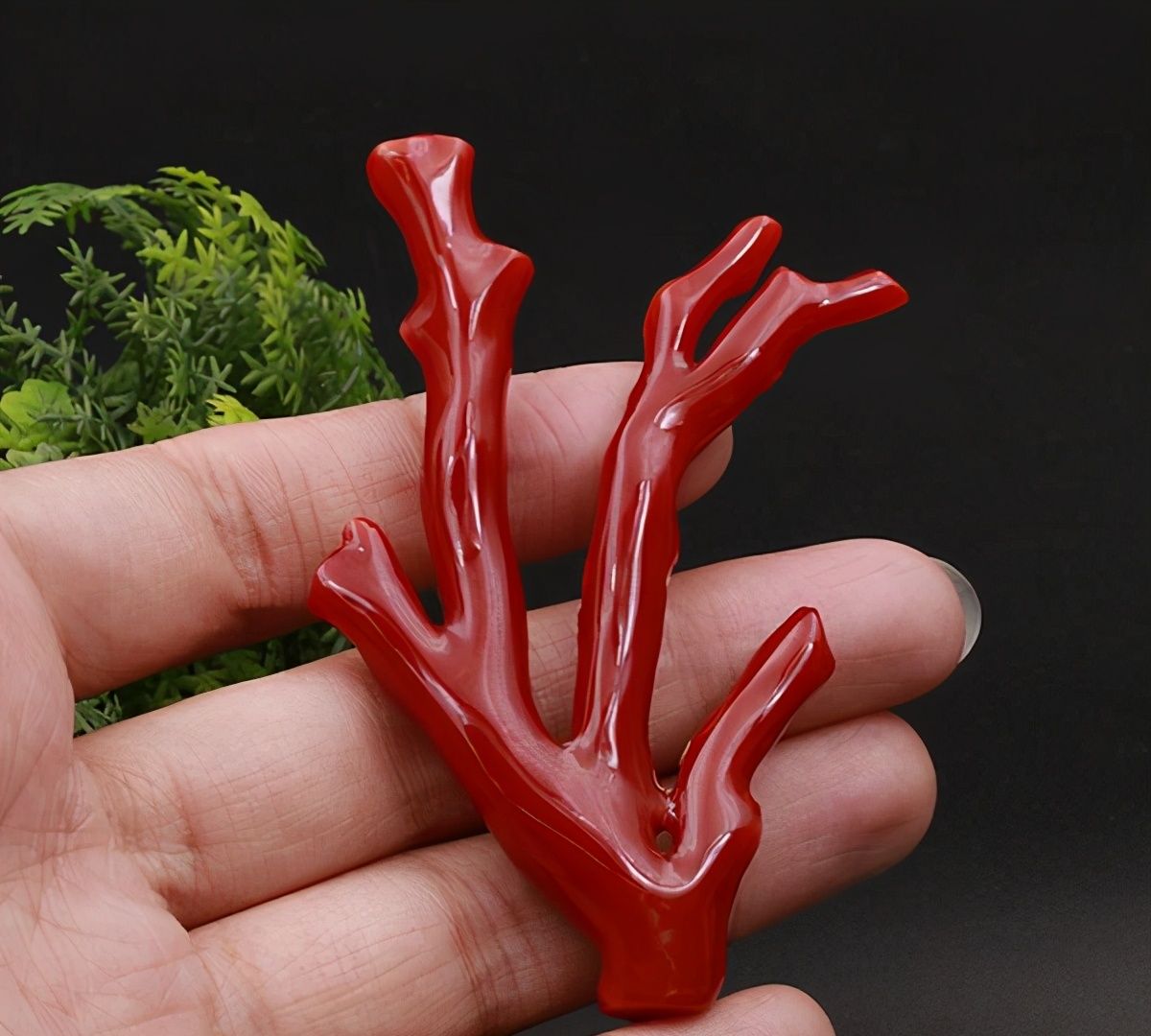 红珊瑚与高仿料竹珊瑚之间的区别