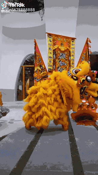 325_579竖版 竖屏gif 动态图 动图