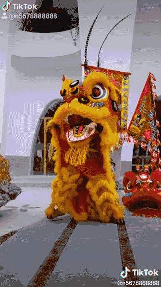 笑死中国舞狮火遍tiktok花式绝技惊呆外国网友哈哈哈哈哈哈