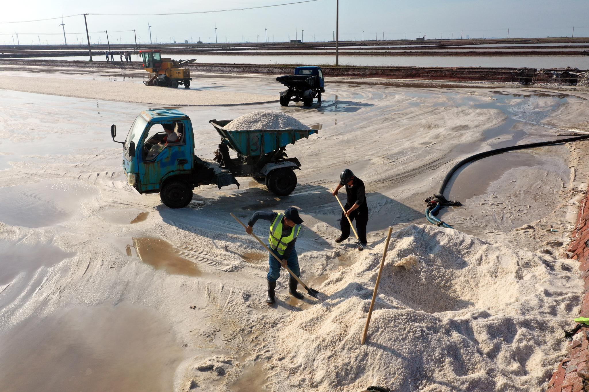 山东沾化:60万亩春盐收获|范长|沾化|滨海镇_新浪新闻