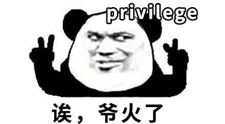 微博刷屏的privilege梗笑到我家的狗偷邻居家的车送我去精神病院