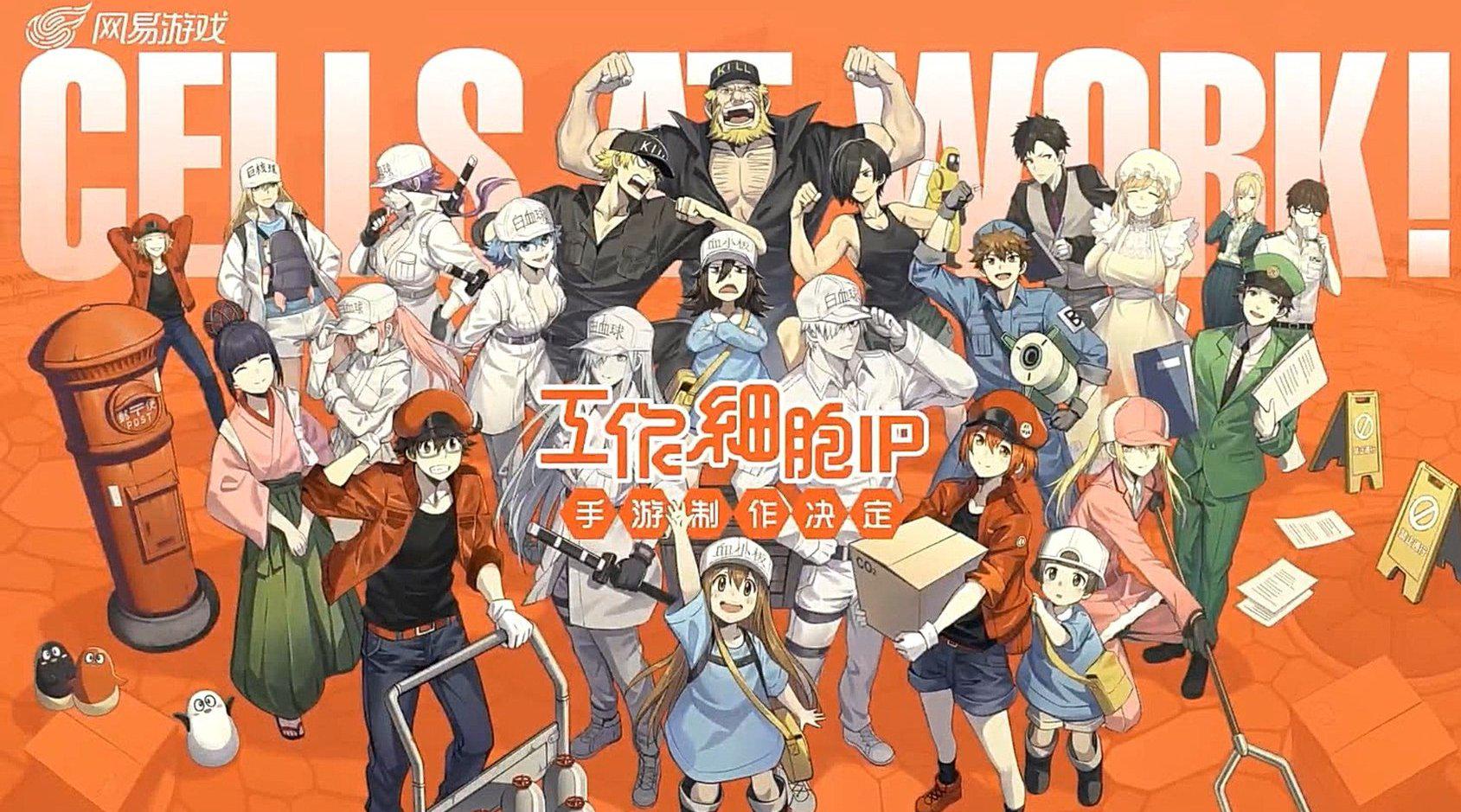 网易宣布将制作《工作细胞》ip手游