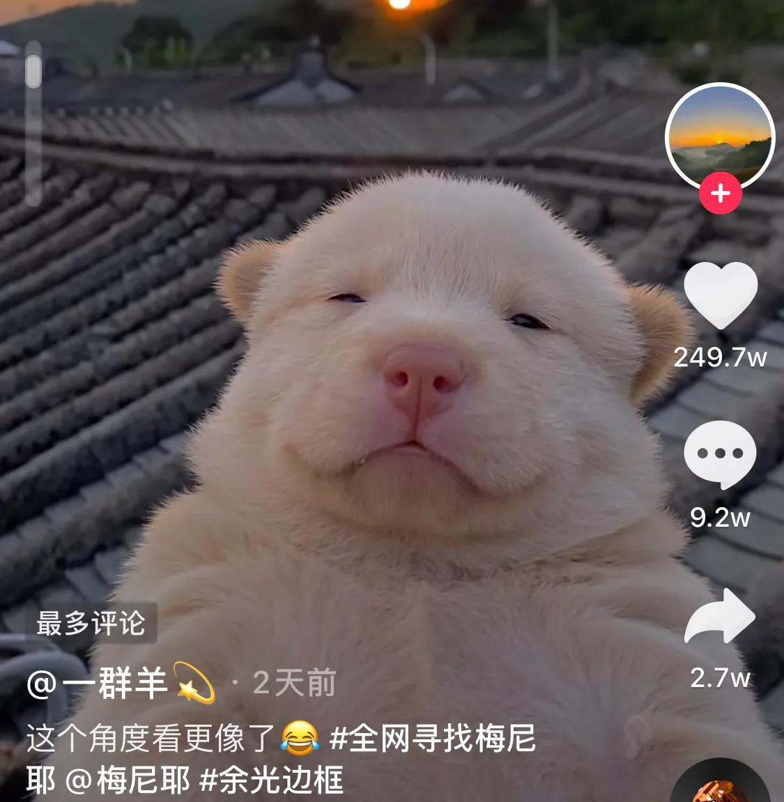 22个月涨粉2552万与60多位明星合作梅尼耶的成名真不简单