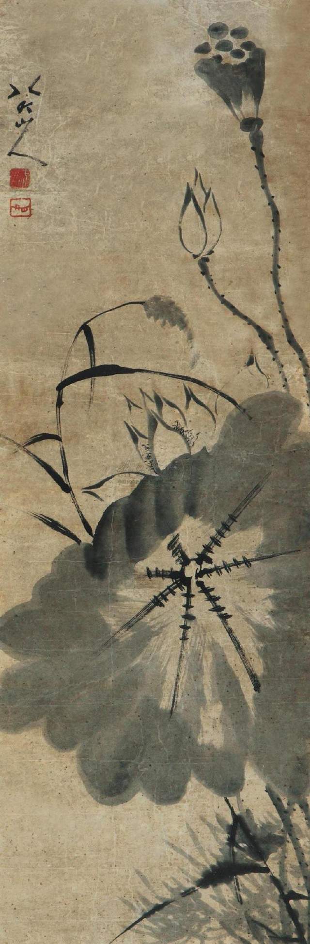 八大山人花卉作品欣赏