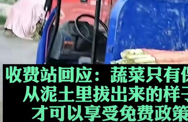 司机运送去叶莴笋走绿色通道被收费,收费站：这属于“深加工”休闲区蓝鸢梦想 - Www.slyday.coM