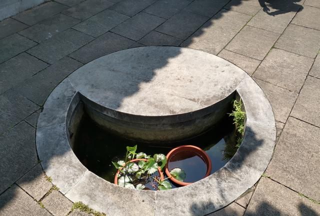 二分明月楼|二分明月楼|景点|腊梅_新浪新闻