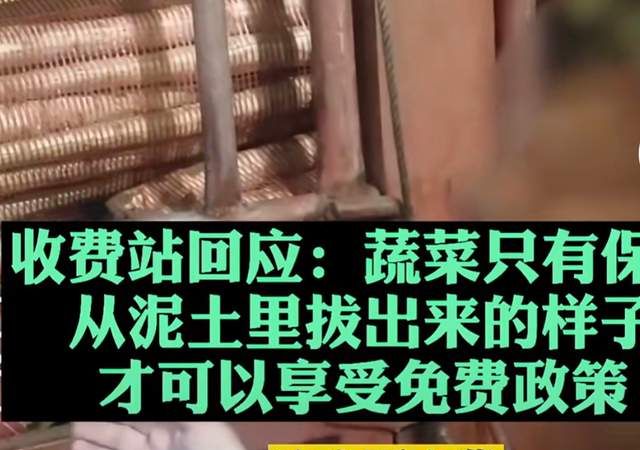 司机运送去叶莴笋走绿色通道被收费,收费站：这属于“深加工”休闲区蓝鸢梦想 - Www.slyday.coM