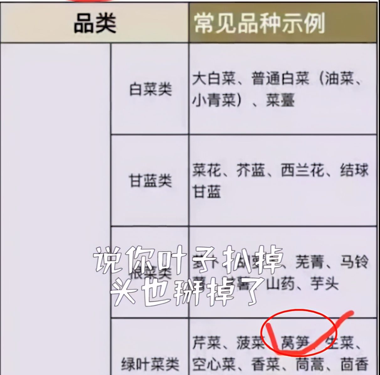 拉一车莴苣走绿通被收102元,司机质疑,收费员：已经去掉叶子了休闲区蓝鸢梦想 - Www.slyday.coM