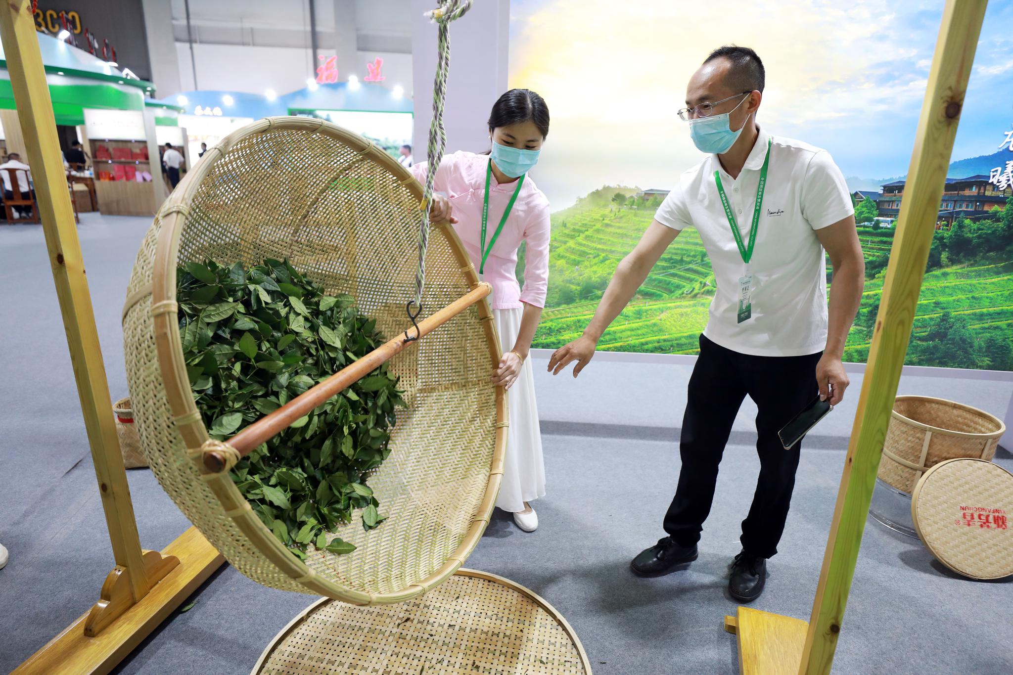 现场体验茶叶摇青.福建馆茶叶展示.现场体验茶叶摇青.穿汉服的小姐姐.