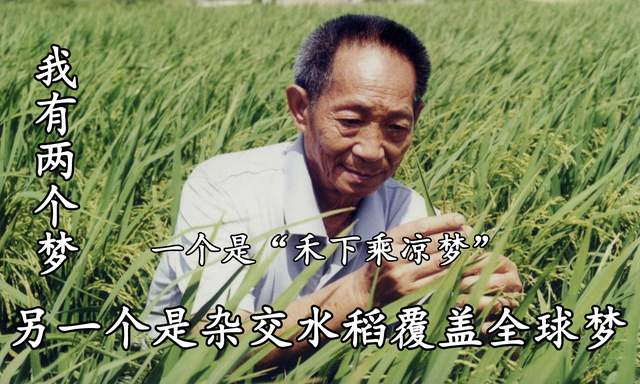 说过:"我有两个梦,一个是禾下乘凉梦,另一个是杂交水稻覆盖全球梦