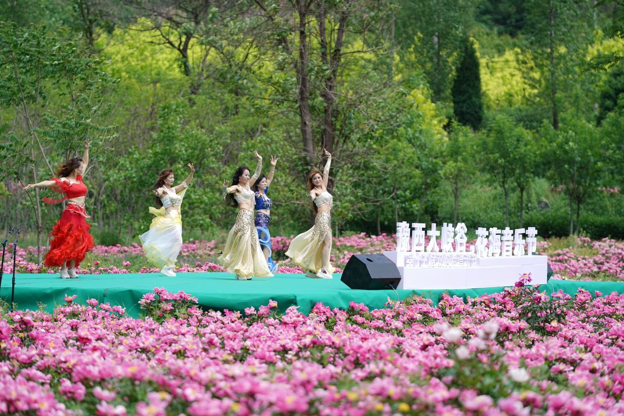 千亩花海惊艳绽放,2021 豫西大峡谷双胞胎花海音乐节开幕