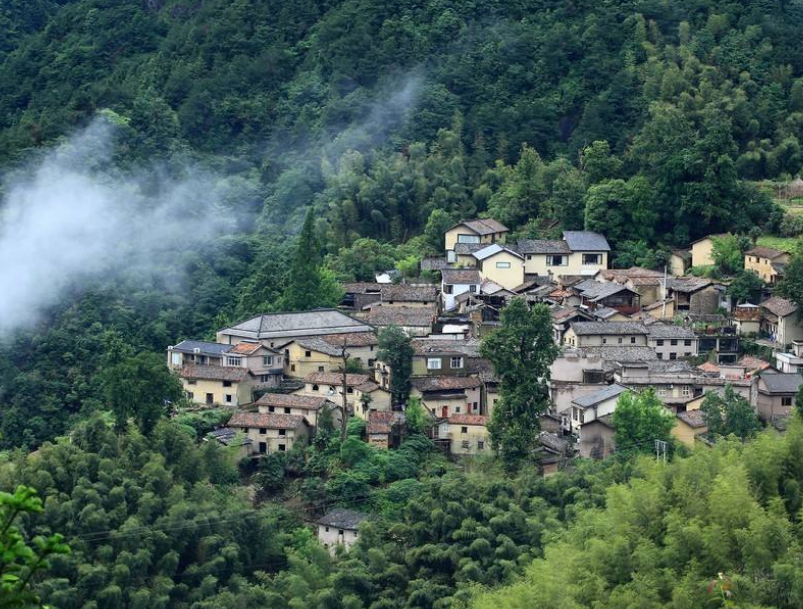 藏在浙江的一处村庄依山傍水绿树环绕有中国优美小山村美誉