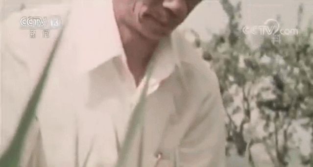 袁隆平去世后,发布多条侮辱性信息北京网民被拘,网络非不法之地休闲区蓝鸢梦想 - Www.slyday.coM