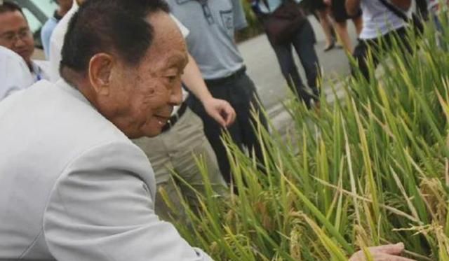 袁隆平去世后,发布多条侮辱性信息北京网民被拘,网络非不法之地休闲区蓝鸢梦想 - Www.slyday.coM