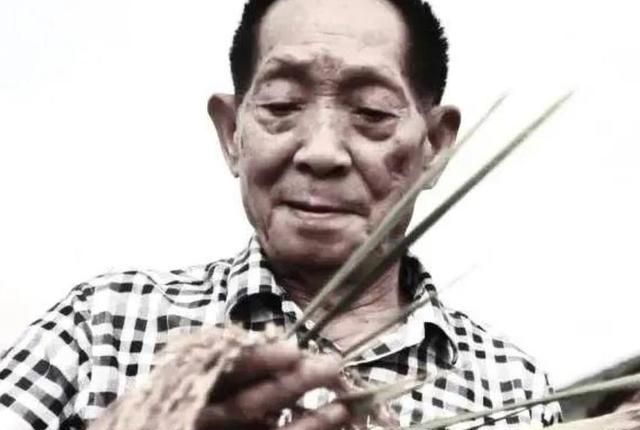 袁隆平去世后,发布多条侮辱性信息北京网民被拘,网络非不法之地休闲区蓝鸢梦想 - Www.slyday.coM