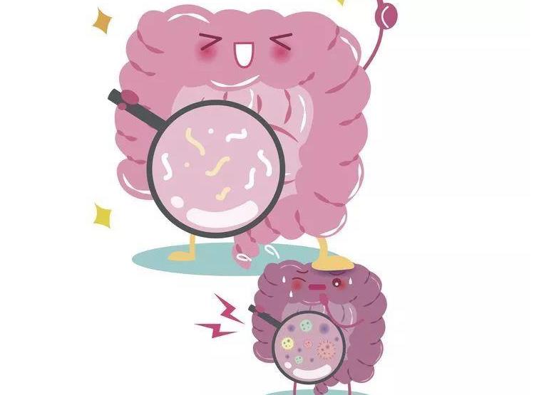 肠道菌群失调说明什么身体6个表现还请给予警惕