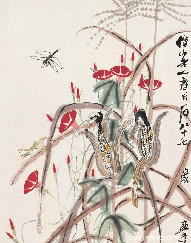 齐白石画《牵牛玉米》,少白汤发周说他构图饱满,却满而不滞涩!