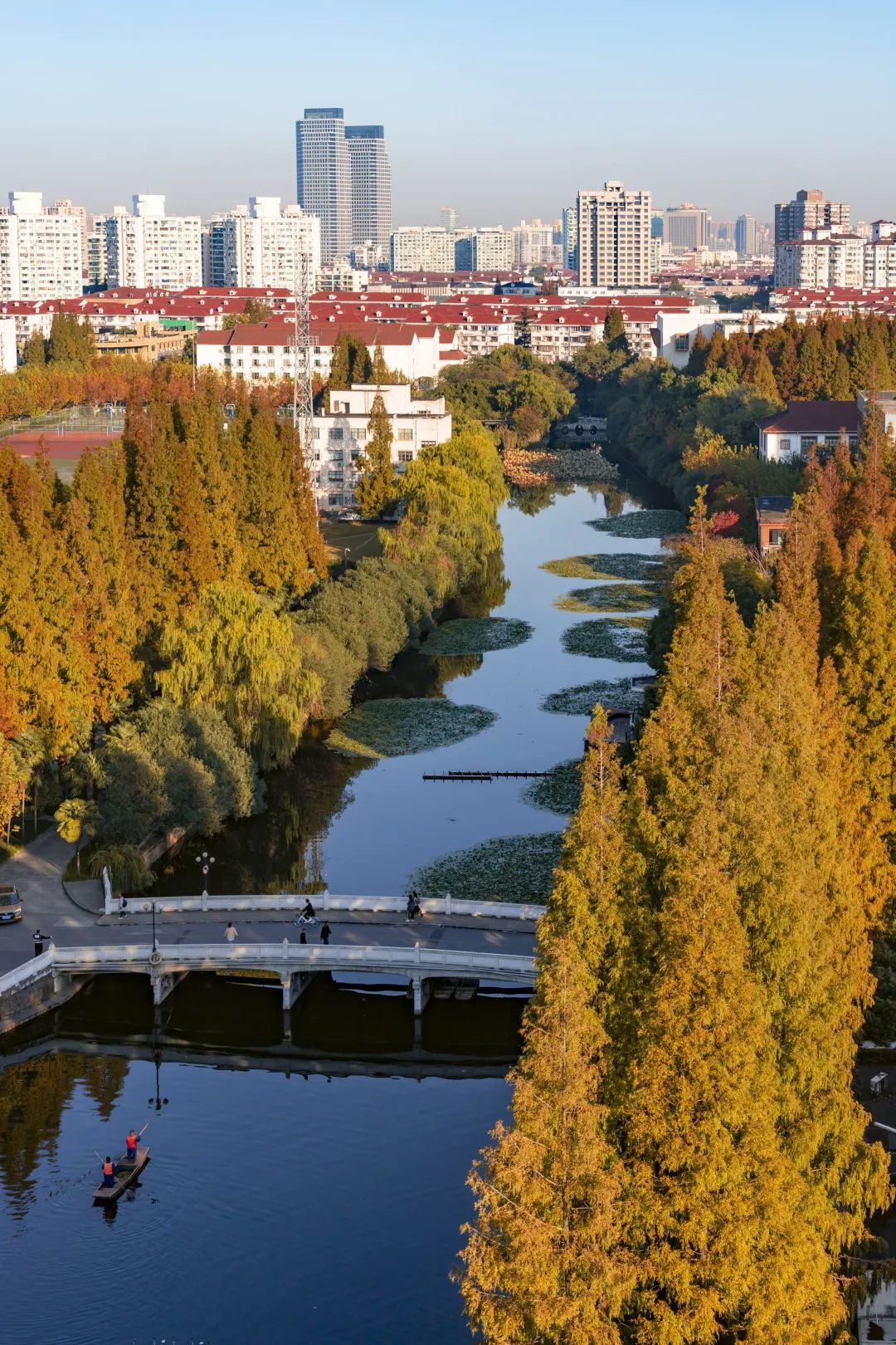 沪上35所高校河流大合集!