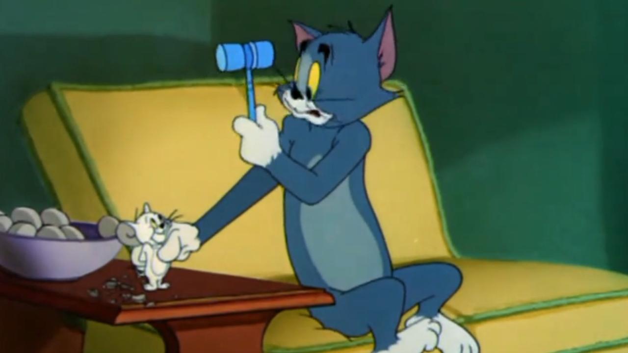 猫和老鼠:现在白老鼠可是危险物种,汤姆都不敢打他了,好危险