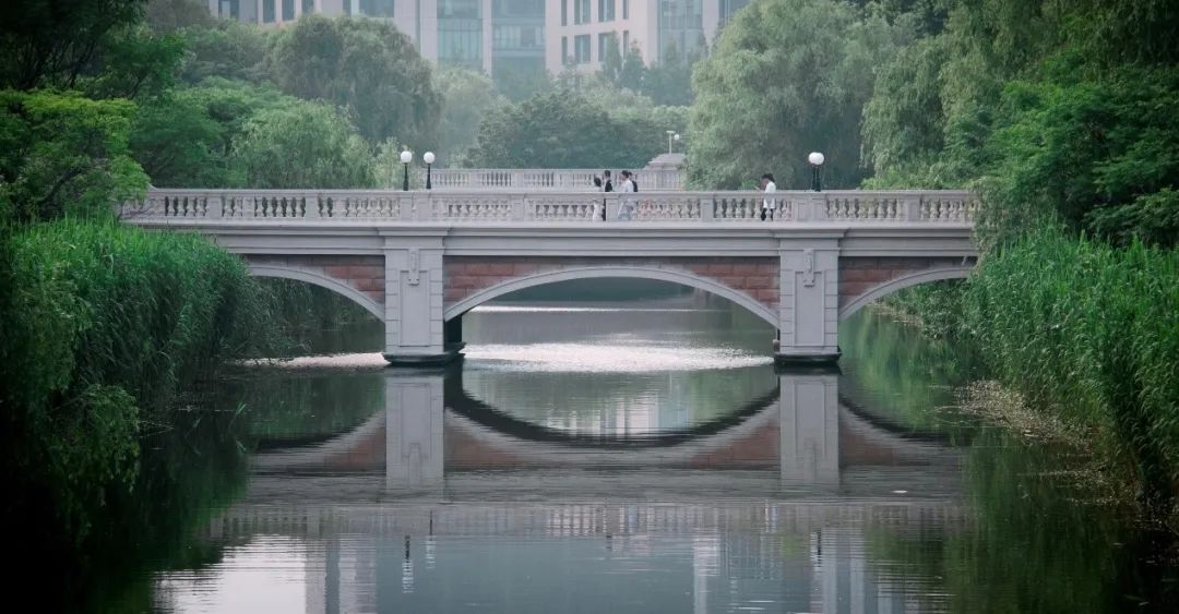 沪上35所高校河流大合集 来感受校园里的这抹澄澈灵动吧 上海市 新浪财经 新浪网 沪上35所高校河流大合集 来感受校园里的这抹澄澈灵动吧 上海市 新浪财经 新浪网