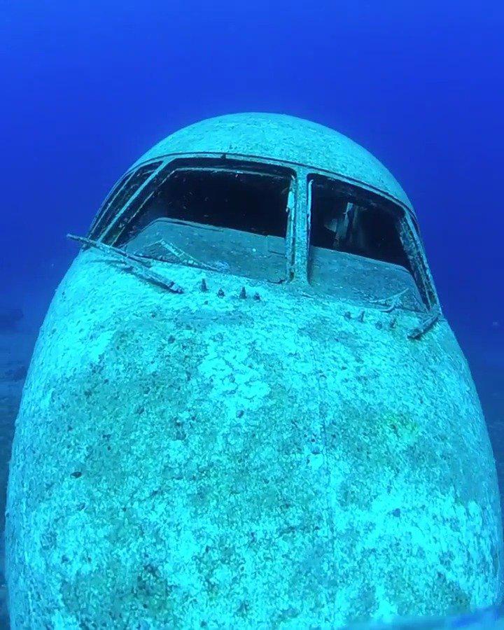 水下的飞机,大体还是看得清楚