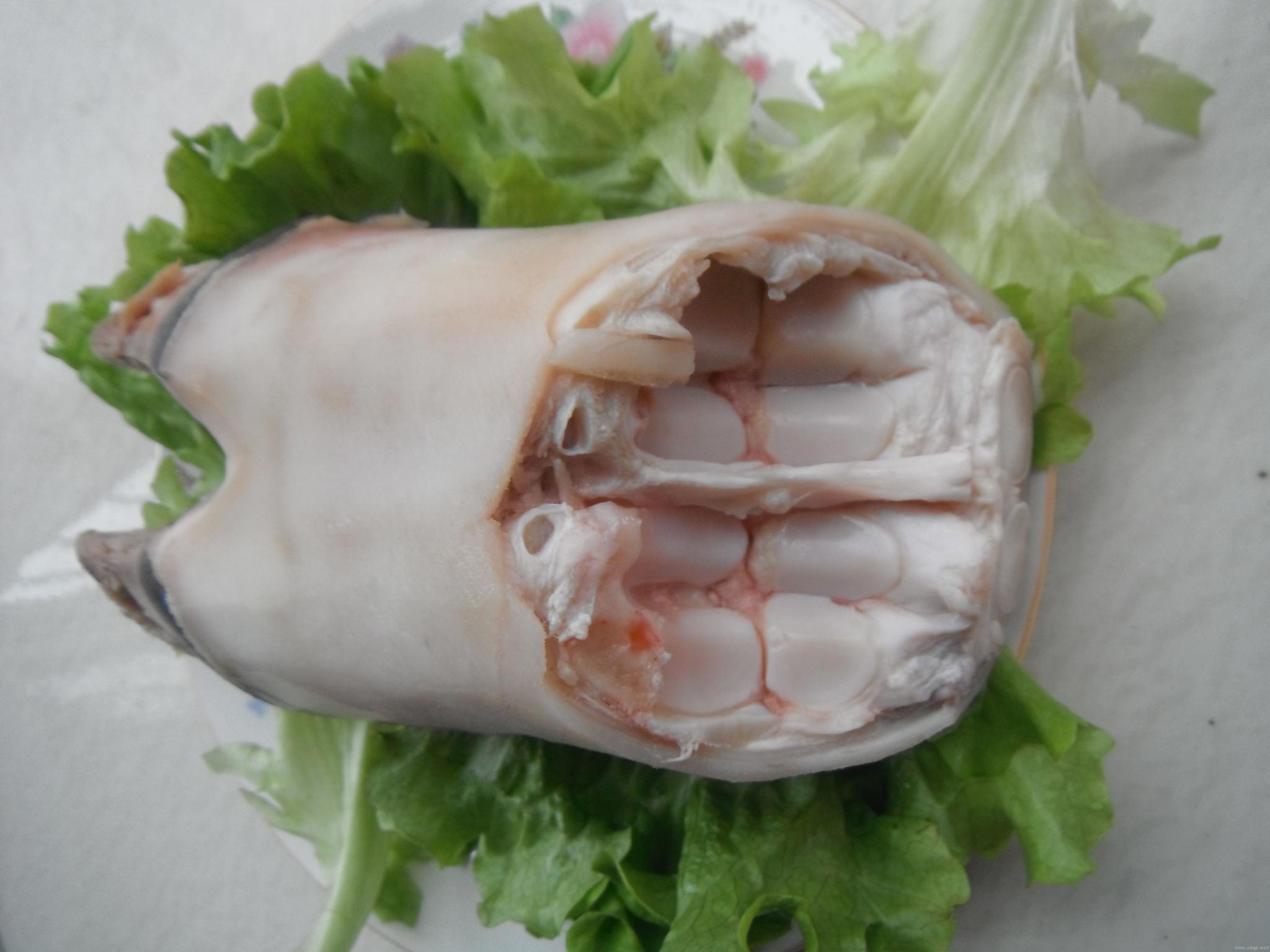 学会这样做牛蹄花营养美味很可口好吃的停不下来很过瘾