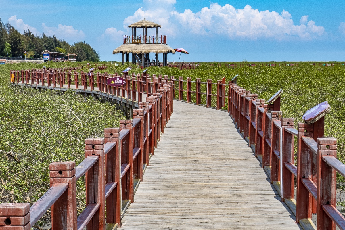 北海网站建设美丽_(北海美丽的地方简谱)