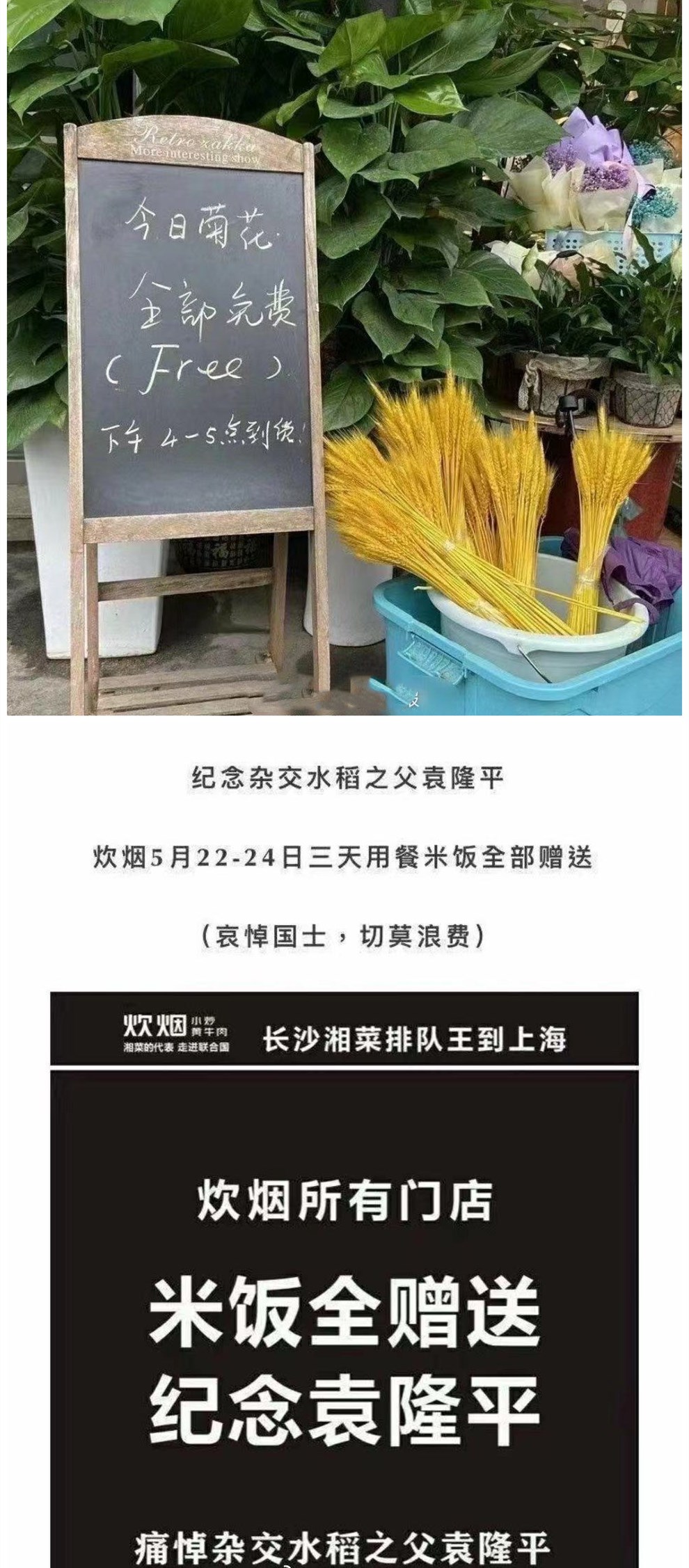 抢热度？袁隆平遗体送别仪式当日，翟天临发文回应网友的谩骂休闲区蓝鸢梦想 - Www.slyday.coM