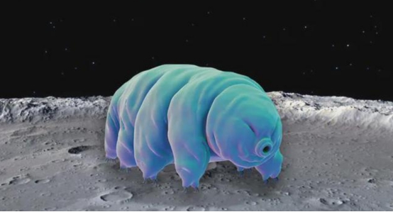 地球上最逆天的生物!能顶住超强撞击,还能在太空中生存