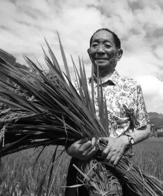 古蔺诗词学会诗文悼念袁隆平院士休闲区蓝鸢梦想 - Www.slyday.coM 古蔺诗词学会诗文悼念袁隆平院士休闲区蓝鸢梦想 - Www.slyday.coM