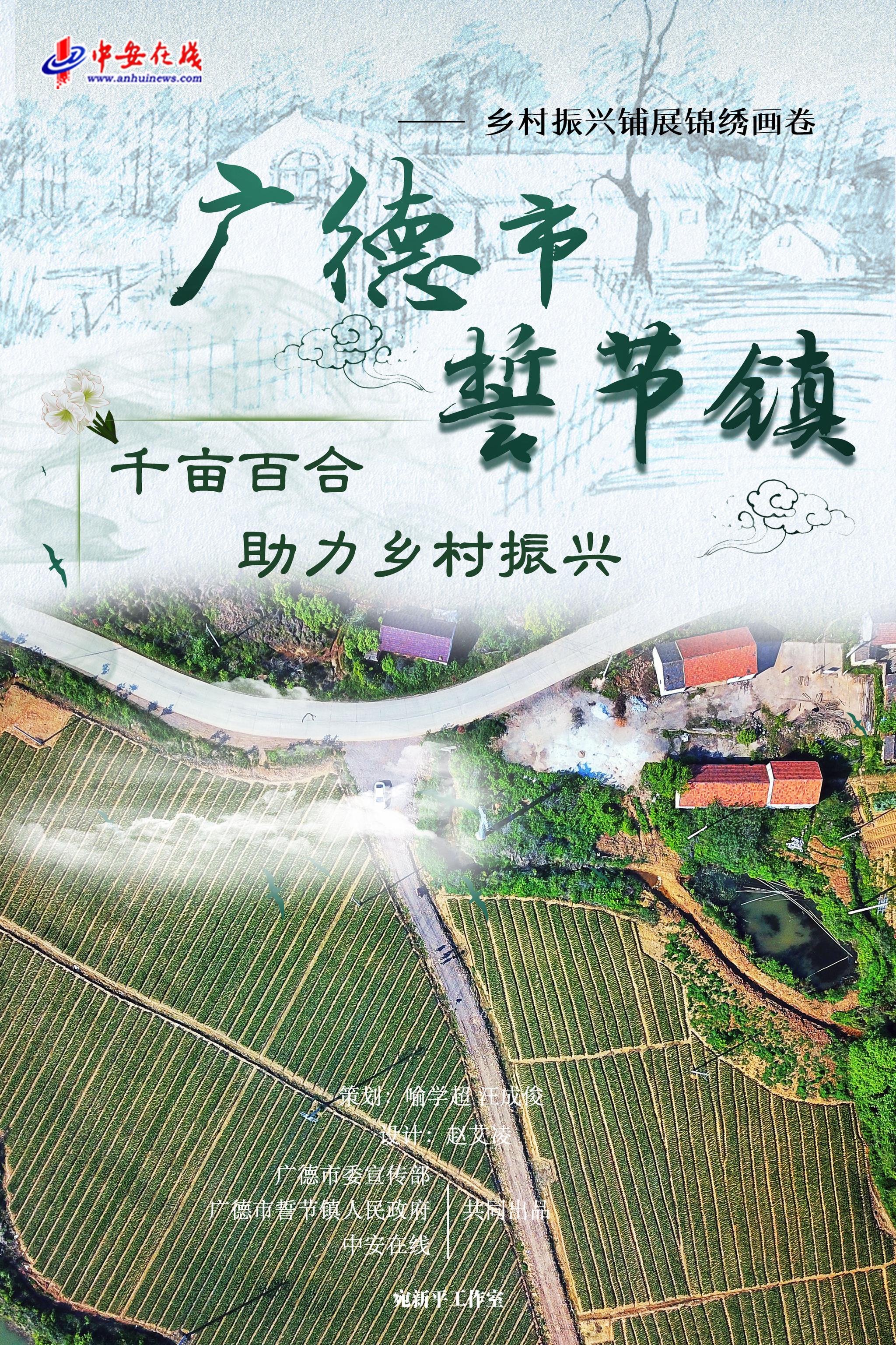 广德市誓节镇:千亩百合助力乡村振兴