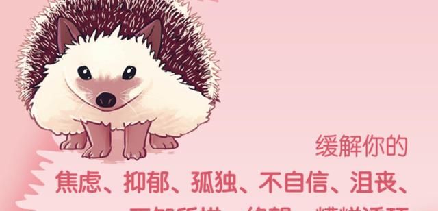 《柔软的刺猬》:130 暖心插画和智慧文字,自我疗愈的内在力量