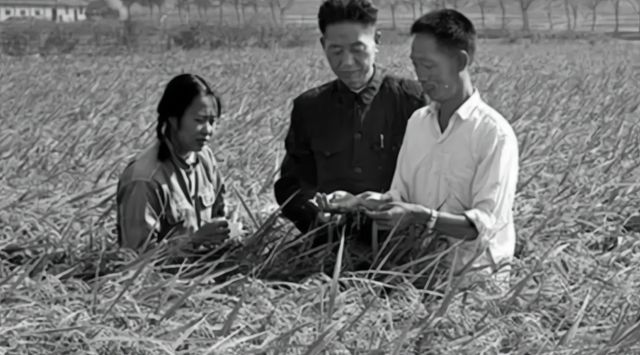 夫人坐轮椅泪别袁隆平,这世上又少了一个深情的男人休闲区蓝鸢梦想 - Www.slyday.coM 夫人坐轮椅泪别袁隆平,这世上又少了一个深情的男人休闲区蓝鸢梦想 - Www.slyday.coM
