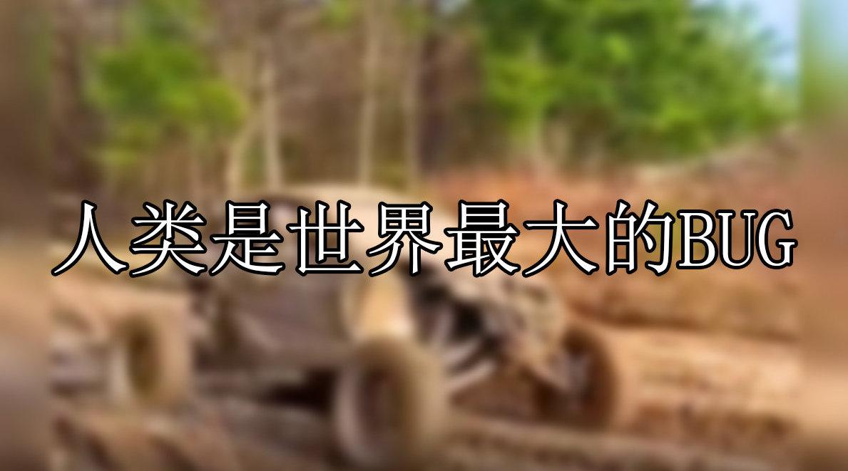 人类是世界上最大的 bug