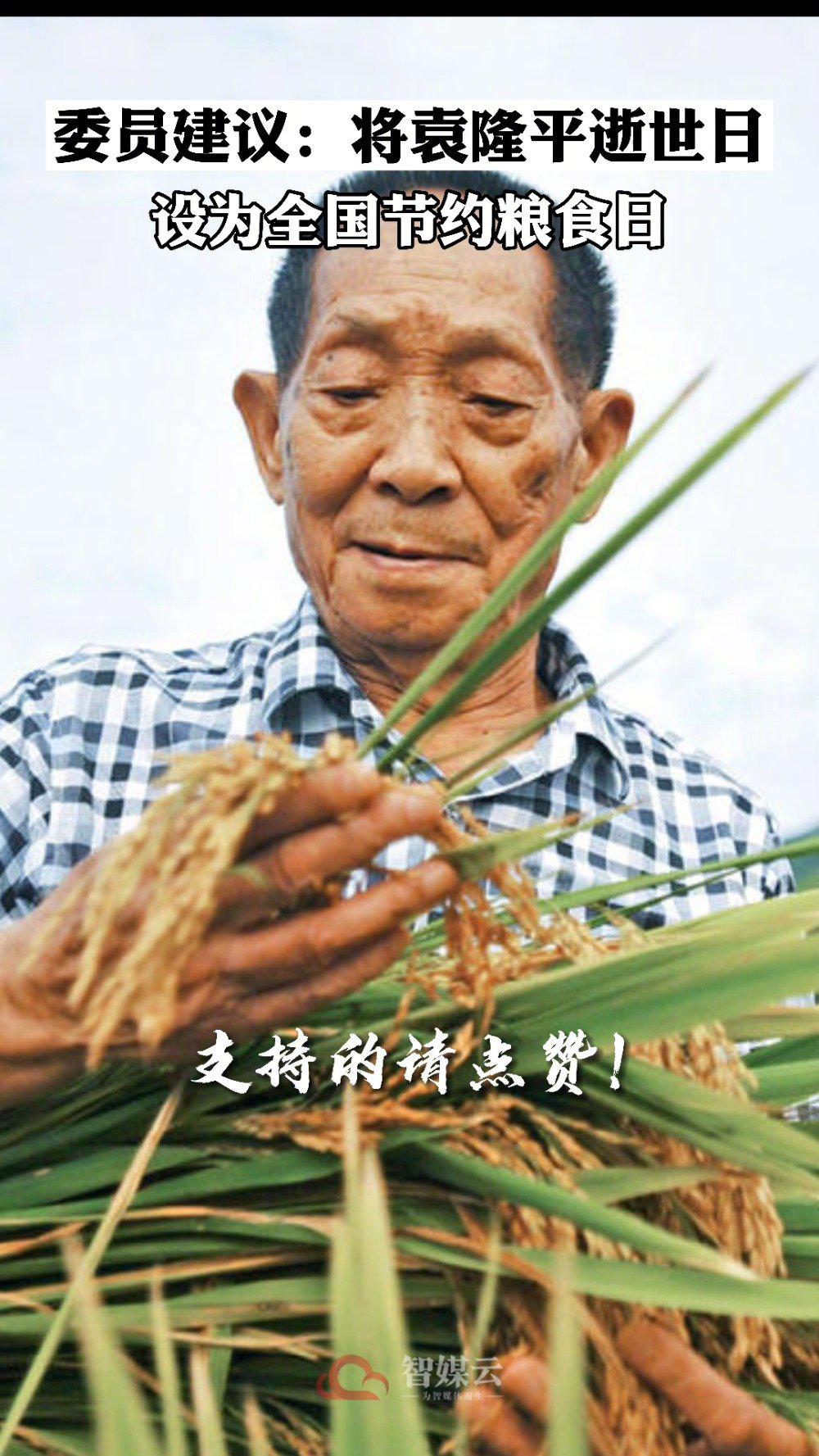 这是袁隆平40年前稻田教学的样子网友用ai修复珍贵视频寄托哀思