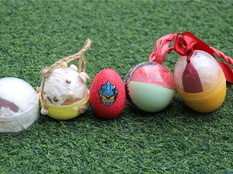 护蛋行动进行中