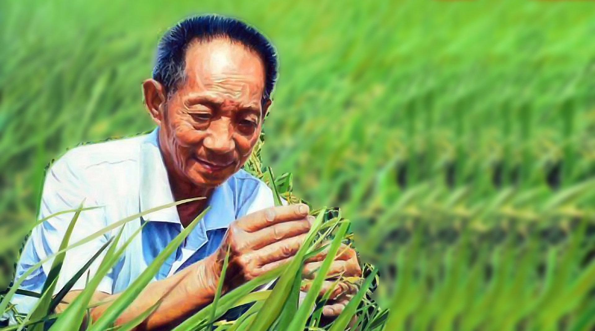 袁隆平院士逝世,关于杂交水稻之父的故事