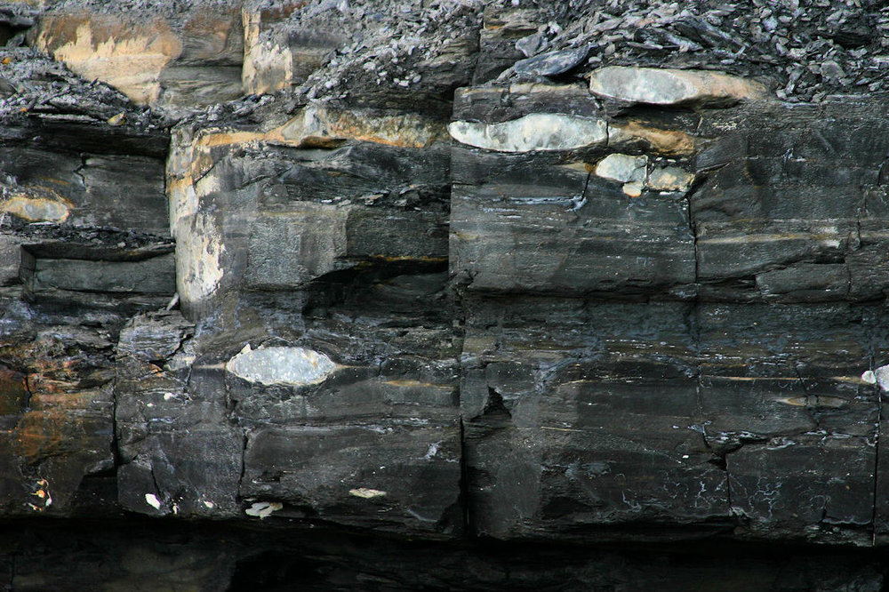 页岩油属于人造石油的一种,和天然石油具有本质上的区别.